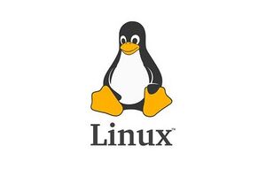 Linux Logo.png